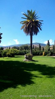 Castello di Nelson